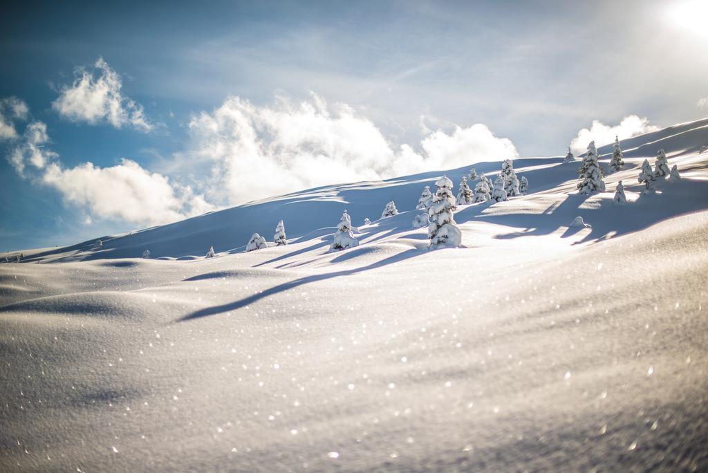 Hotel The Excelsior Ostfluegel Arosa Zewnętrze zdjęcie